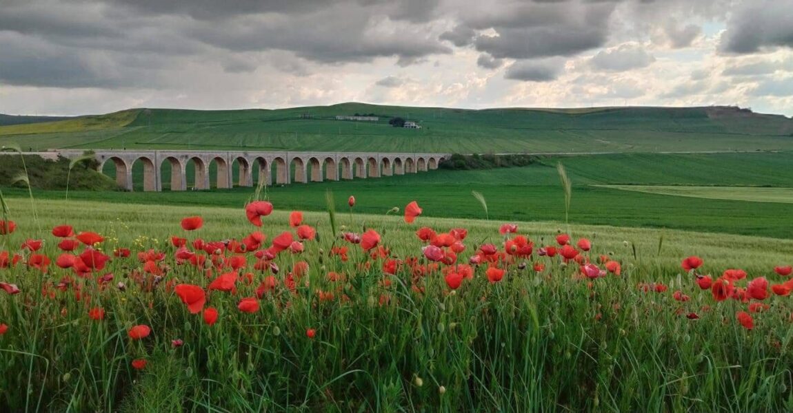 Buona la prima per “ArchitettinMurgia”, alla scoperta del Parco Nazionale tra natura, cultura ed architettura