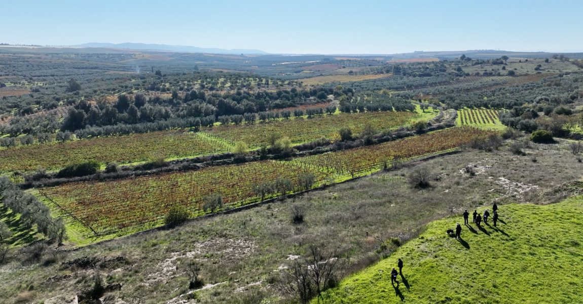 A Canosa un patrimonio da 14mila ettari paesaggistico e rurale: obiettivo protezione e valorizzazione
